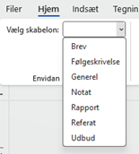 Screenshot af Envidan's Word add-in
