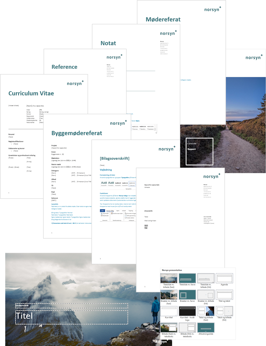 Grafik der viser alle de dokumenter, Norsyn kan bygge med deres skabeloner